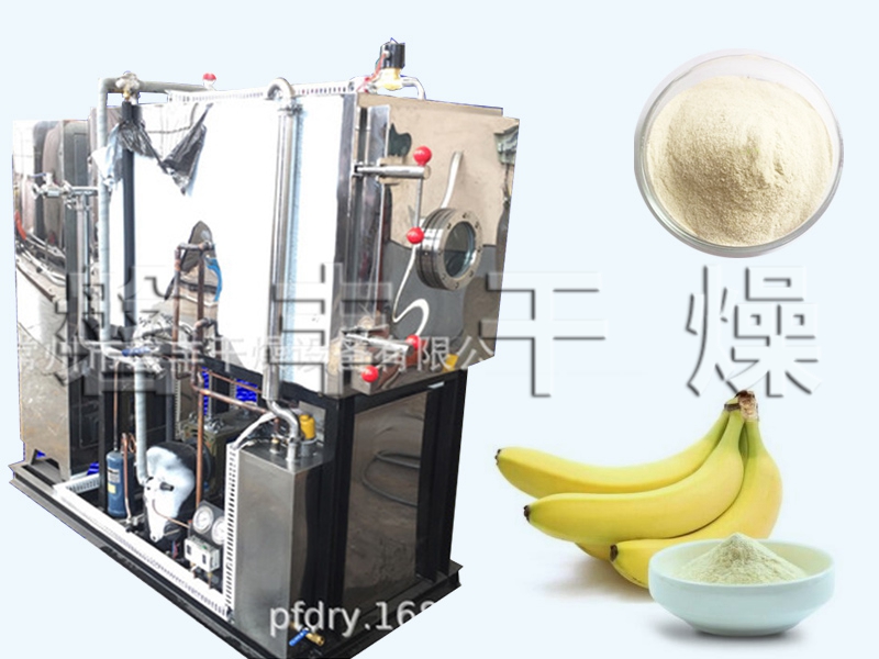 香蕉粉冻干设备