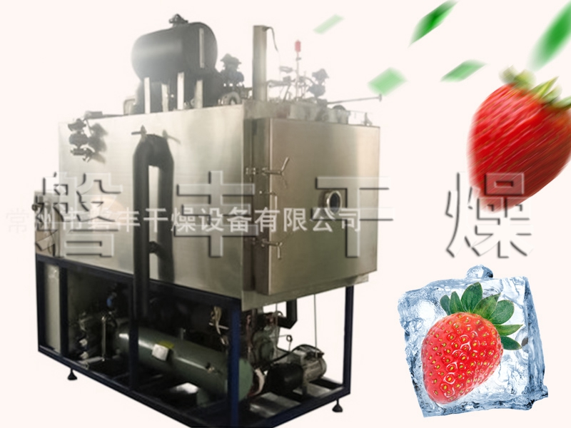 草莓真空冻干机
