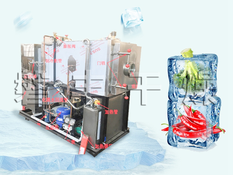 果蔬真空冷冻干燥机